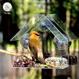 Vogelhaus Saugnapf Fenster Fenster Vogelhäuschen Transparent - Vogelfutterstation Mit Saugnäpfen Für Wildvögel Beobachtung Fenster Futterhaus Für Wildvögel Im Garten