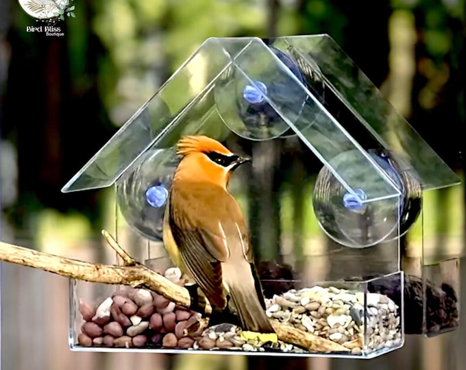 Clear Acrylic Window Bird Feeder, Suction Cup Mount