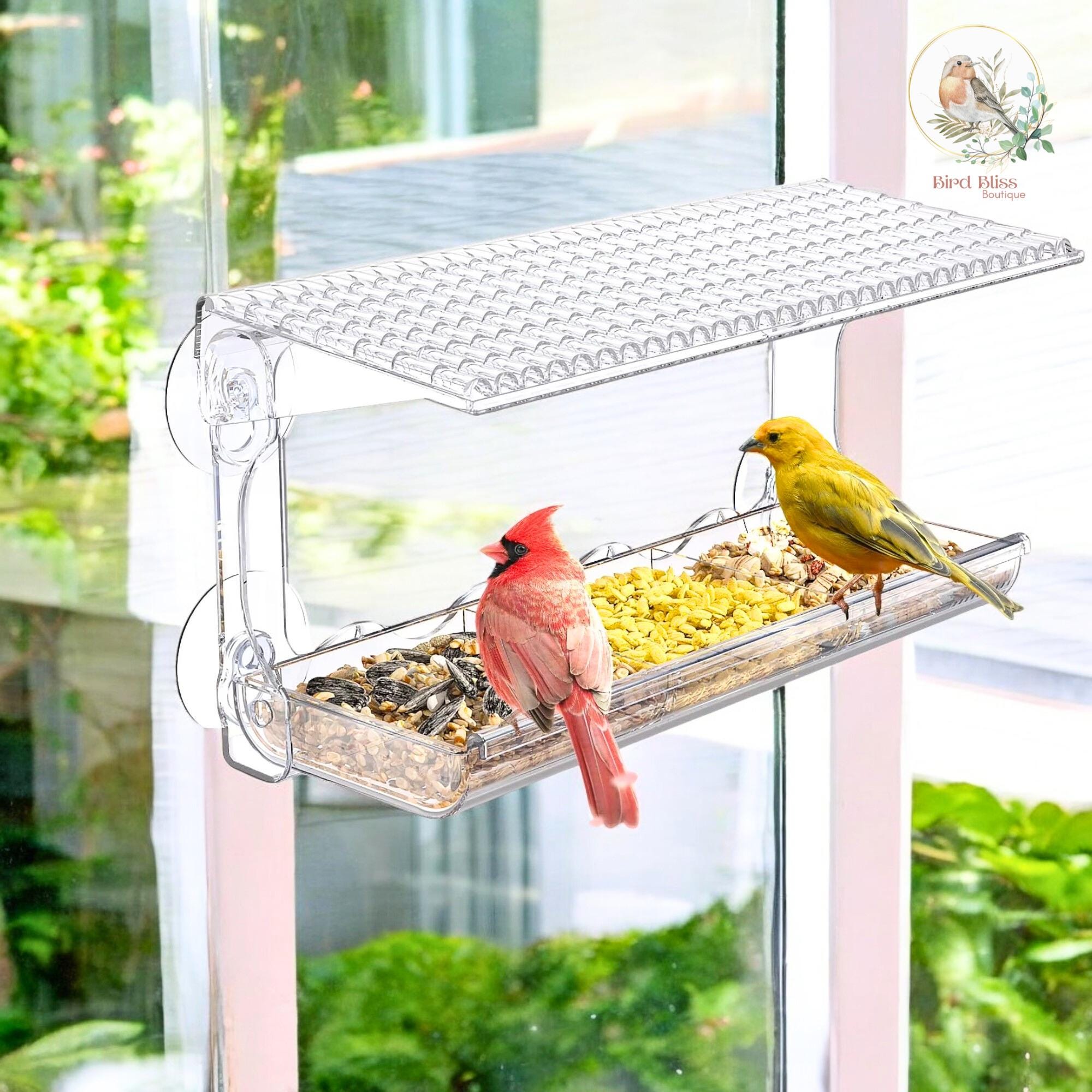 Transparentes Vogelhaus Aus Holz Für Den Außenbereich – Mit Sichtfenster, Einfach Zu Montieren, Geschenk Für Kinder