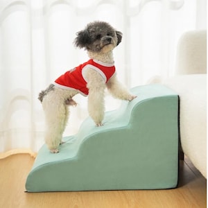 May include: A small dog wearing a red and white shirt stands on a three-step, mint-green pet staircase. The dog has gray and white fur. The staircase is placed next to a white couch.