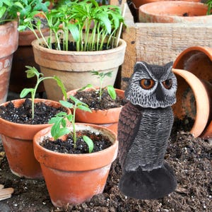 Realistic Owl Decoy with Moving Head: Bird Deterrent Garden Statue