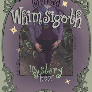 Vintage Whimsigoth Mystery Box • Thrifted Clothing Bundle • Custom Curated Dark Romantic Wardrobe