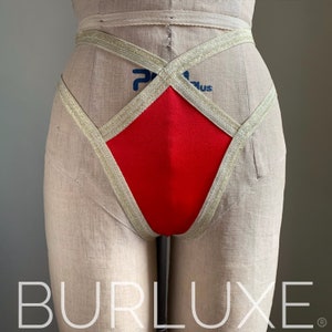 Mid-size Panel Classic Burluxe Diamond Burlesque Cage Panties Thong image 5