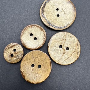 High Shine Coconut Shell Buttons - Natural Wood, Various Sizes