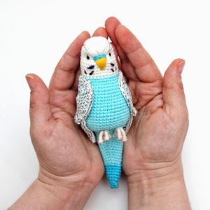 Budgie crochet pattern PDF Amigurumi parrot  Realistic  Budgerigar Toys  animal