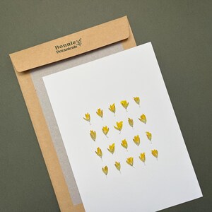Könnte beinhalten: Eine weiße rechteckige Karte mit einem Gitter aus zwanzig kleinen, gepressten gelben Blumen, die teilweise in einem braunen Kraftpapierumschlag steckt. Die Umschlagklappe ist mit dem Text Bonnie Botanicals und einem kleinen Blattsymbol bedruckt.