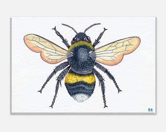Bumblebee - canvas print 30x20cm / 12x8"