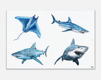 May include: A white print featuring four detailed blue-toned marine illustrations: a spotted eagle ray swimming, a tiger shark in profile, a tiger shark swimming left, and a great white shark facing forward with its mouth open showing sharp teeth.