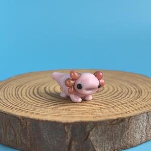 Op de afbeelding: Een kleine, roze axolotl-figuur met bruine kieuwen en zwarte ogen. Het staat op een houten schijf tegen een helderblauwe achtergrond. De axolotl is een schattig, miniatuurbeeldje.