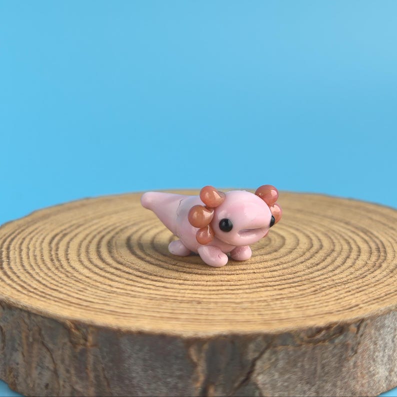 Op de afbeelding: Een kleine, roze axolotl-figuur met bruine kieuwen en zwarte ogen. De figuur staat op een ronde houten schijf tegen een helderblauwe achtergrond. Axolotls zijn salamanders met een uniek uiterlijk.
