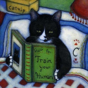 How to Train your Human.  8 x 10 Charlie tuxedo cat print