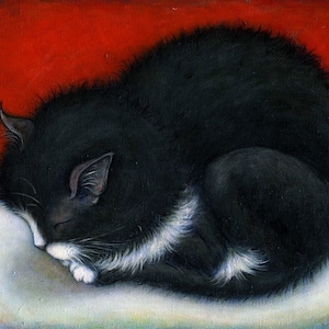 Tuxedo Kitten.  8 x 10 print