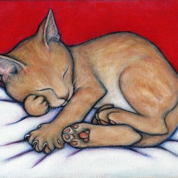 Willy Kitten.  8 x 10 print