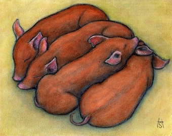 Piglets.  8 x 10 print