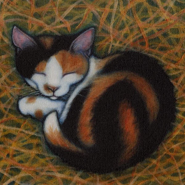 Calico Barn Cat 8x10 impresión de arte