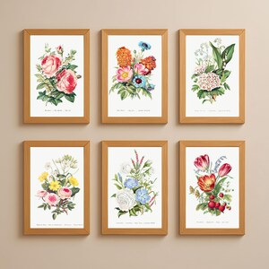Set di 6 stampe artistiche botaniche con illustrazioni floreali vintage, formato A3 - A4, per cucina e sala da pranzo, arte murale, classico nostalgico