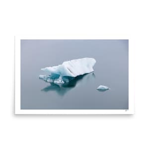 3 piccoli uccelli su un iceberg