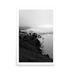Accento glaciale