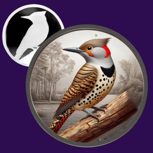 Archivo de grabado láser 3D Northern Flicker / Mapa de profundidad / Mapa de altura / Xtool / Archivo PNG / Lightburn / CNC Art / Escala de grises / Glowforge / Pájaros
