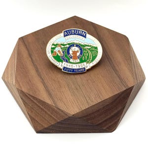 BPOE Elks Lodge No. 1691 Auburn California Lapel/Pin