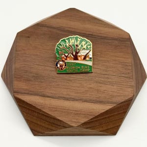 BPOE Elks 1997 Florida Elks Youth Camp Lapel/Pin