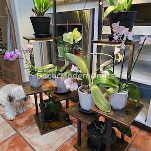 Paquete de 2 soportes esquineros para plantas con 5 estantes, soporte para plantas de interior, soporte para plantas, soporte para plantas, regalo de inauguración de la casa