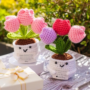 Handmade Crochet Tulip Plant Pot Gift, Mothers Day Gift for Mom from Daughter, Positive Knitted Flower, Birthday Gift for Grandma Desk Decor