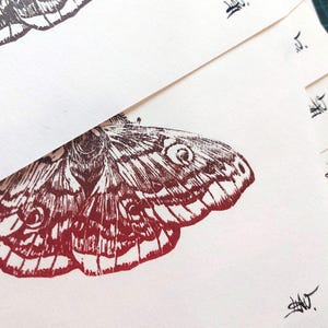 Linogravura, impressão de mão, cartão presente, borboleta