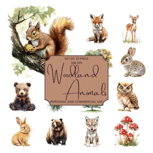 Clipart numérique animaux de la forêt, créatures de la forêt, joli bébé cerf, lapin, ours, hibou, hérisson, écureuil, loup, champignons vénéneux, arbres