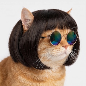 Puede incluir: Un gato naranja que lleva una peluca negra estilo bob con flequillo y gafas de sol redondas con montura dorada. Los cristales son iridiscentes y reflejan tonos azules y verdes. El gato tiene bigotes visibles y orejas puntiagudas.