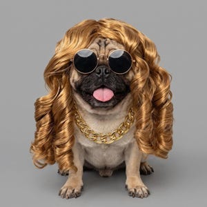 May include: A fawn-coloured pug dog wearing a long, wavy, golden-blonde wig, round black-tinted sunglasses with thin gold frames, and a thick, chunky gold-tone metal chain necklace. The dog has a black muzzle and its tongue is visible.