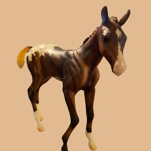 Espresso - Springtime Filly -10' Big Foa Espresso - Springtime Filly -10' Big Foa