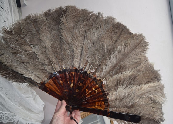 Edwardian Ostrich Feather Fan