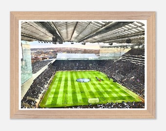 St James' Park, Newcastle United FC Wall Art