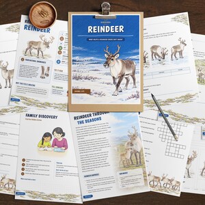 May include: A collection of educational activity sheets about reindeer, featuring illustrations of reindeer in snowy landscapes, text headers like Reindeer and Activities by Level, a wooden clipboard, a pencil, and a small wooden bowl with clips.
