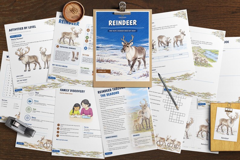 May include: A collection of educational activity sheets about reindeer, featuring illustrations of reindeer in snowy landscapes, text headers like Reindeer and Activities by Level, a wooden clipboard, a pencil, and a small wooden bowl with clips.