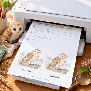 Puede incluir: Una impresora blanca emite una hoja de ejercicios titulada Trace, Write & Explore con el texto Barn Owl. La p&aacute;gina incluye pr&aacute;ctica de escritura cursiva y dos ilustraciones de una lechuza. Una figura de b&uacute;ho est&aacute; cerca.