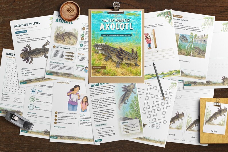 Może przedstawiać: Kolekcja edukacyjnych arkuszy ćwiczeń z ilustracjami, tekstem i diagramami aksolotli. Środkowa strona jest przypięta do drewnianej deski, zatytułowana Water Monster Axolotl, z oł&oacute;wkiem i małą drewnianą miseczką ze spinaczami biurowymi.