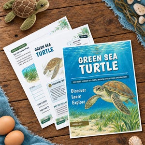 Puede incluir: Un conjunto de hojas de actividades educativas tituladas Green Sea Turtle con ilustraciones de una tortuga en un h&aacute;bitat oce&aacute;nico, acompa&ntilde;adas de un peque&ntilde;o peluche de tortuga, dos huevos marrones y dos conchas sobre madera.