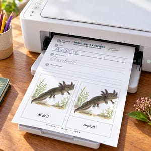 Może przedstawiać: Biała drukarka wysuwająca arkusz ćwiczeń zatytułowany Trace, Write & Explore. Strona zawiera słowo Axolotl w druku i kursywie, dwie ilustracje aksolotla oraz tekst Axolotl, Explore, Learn, Grow u dołu strony.
