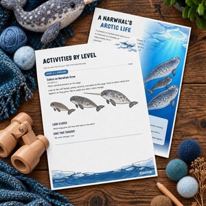 Puede incluir: Dos hojas de actividades educativas tituladas A Narwhal's Arctic Life y Activities By Level, con ilustraciones de narvales, acompa&ntilde;adas de un narval de fieltro, binoculares de madera, ovillos de lana azul y un l&aacute;piz de madera.