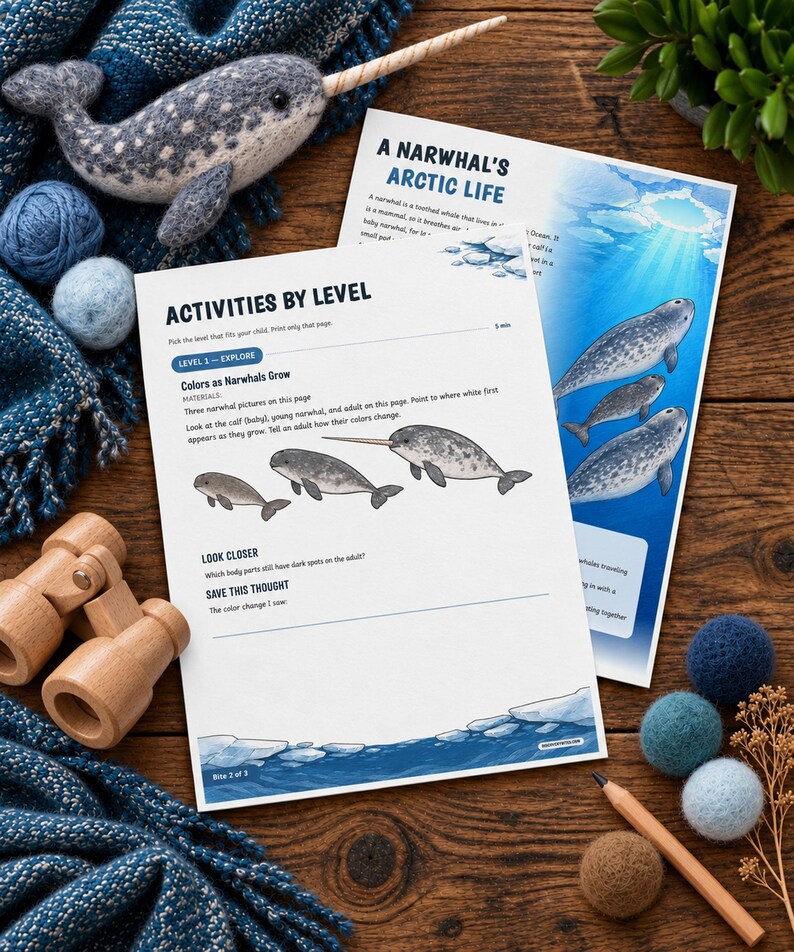 Puede incluir: Dos hojas de actividades educativas tituladas A Narwhal's Arctic Life y Activities By Level, con ilustraciones de narvales, acompa&ntilde;adas de un narval de fieltro, binoculares de madera, ovillos de lana azul y un l&aacute;piz de madera.