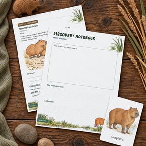 May include: A Discovery Notebook activity sheet featuring a capybara illustration, a blank drawing box, and prompts. Includes a small capybara card, a felt capybara figure, and two smooth stones. The text reads Discovery Notebook, Reflect and Draw, and Capybara.