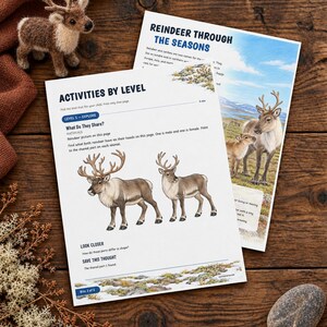 May include: Two educational activity sheets titled Reindeer Through the Seasons and Activities by Level, featuring illustrations of reindeer, text about their biology, and interactive questions for children, displayed alongside a small felt reindeer.