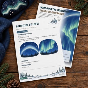 May include: Two educational activity sheets titled Activities by Level and Watching the Northern Lights in Fairbanks, featuring illustrations of the aurora borealis, starry night skies, and snowy pine tree landscapes in blue and green.