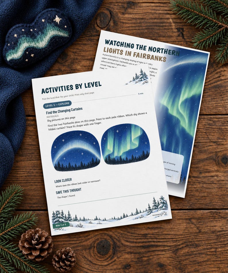 May include: Two educational activity sheets titled Activities by Level and Watching the Northern Lights in Fairbanks, featuring illustrations of the aurora borealis, starry night skies, and snowy pine tree landscapes in blue and green.