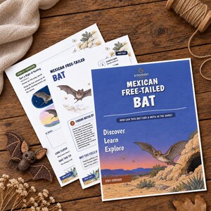May include: Educational activity sheets about the Mexican free-tailed bat featuring illustrations of bats in flight, text headers, and a small felt bat ornament. The sheets include sections titled Discover, Learn, Explore, and Sort a Night of Hunting.