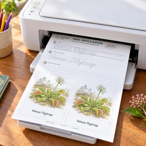 May include: A white printer outputting a worksheet titled Trace, Write & Explore featuring the text Venus Flytrap in cursive and print, alongside two detailed botanical illustrations of Venus flytrap plants with green leaves and white flowers.