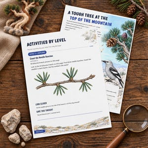 May include: Two educational activity sheets featuring illustrations of a bristlecone pine branch, a bird, and text titled Activities by Level and A Tough Tree at the Top of the Mountain, accompanied by a magnifying glass and small rocks.