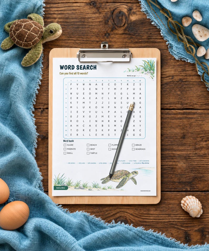 Puede incluir: Un portapapeles de madera con una hoja de sopa de letras titulada WORD SEARCH, un banco de palabras y una ilustraci&oacute;n de tortuga marina. Un l&aacute;piz gris descansa diagonalmente sobre la cuadr&iacute;cula. Una peque&ntilde;a tortuga de peluche y dos huevos marrones.